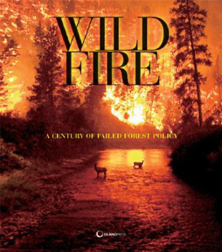 Knjiga Wildfire Reader George Wuerthner