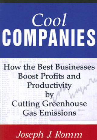 Книга Cool Companies Joseph J. Romm