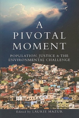 Livre Pivotal Moment Martha Farnsworth Riche