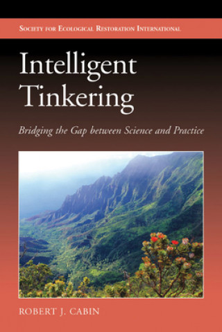 Knjiga Intelligent Tinkering Robert J. Cabin