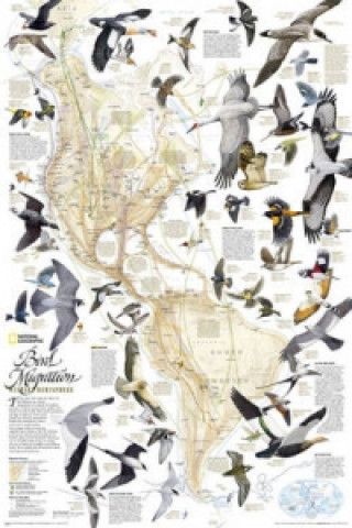 Materiale tipărite Bird Migration, Western Hemisphere, Tubed National Geographic Maps