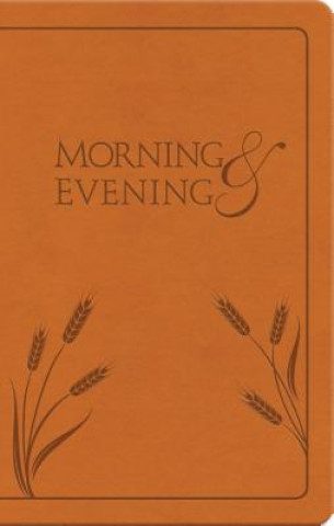 Książka Morning and Evening Charles Spurgeon