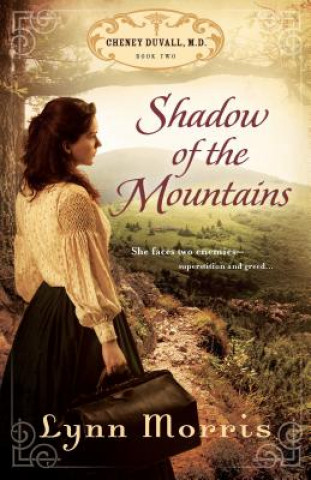 Libro Shadow of the Mountains Lynn Morris