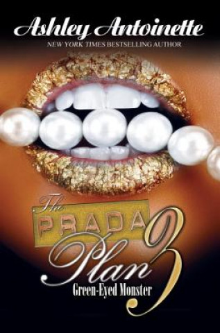 Book Prada Plan 3 Ashley Antoinette