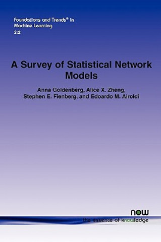 Kniha Survey of Statistical Network Models Anna Goldenberg