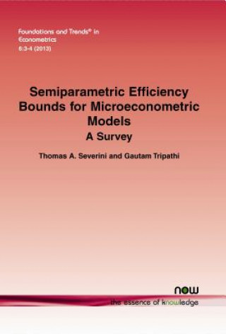 Książka Semiparametric Efficiency Bounds for Microeconometric Models Thomas A. Severini