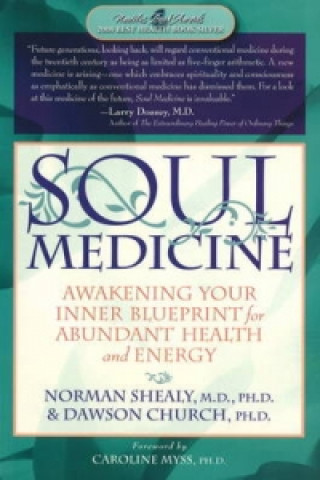 Kniha Soul Medicine Norman Shealy
