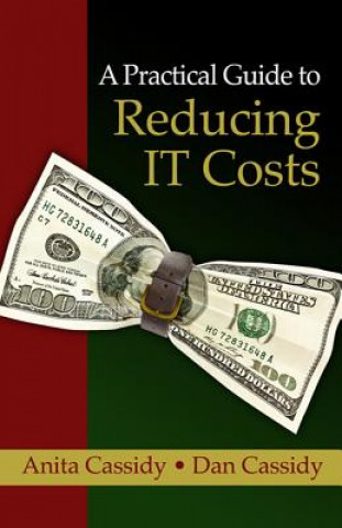 Kniha Practical Guide to Reducing IT Costs, A Anita Cassidy