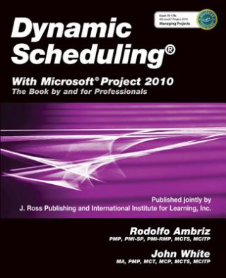 Könyv Dynamic Scheduling Rodolfo Ambriz