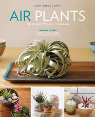 Könyv Air Plants: The Curious World of Tillandsias Zenaida Sengo