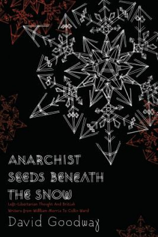 Libro Anarchist Seeds Beneath The Snow 