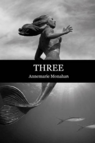 E-Book CNT in the Spanish Revolution Volume 1 Annemarie Manahan
