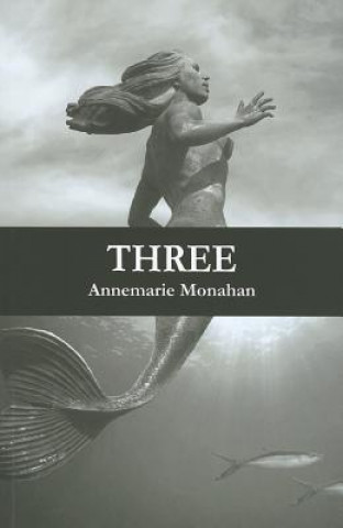 Book Three Annemarie Monahan