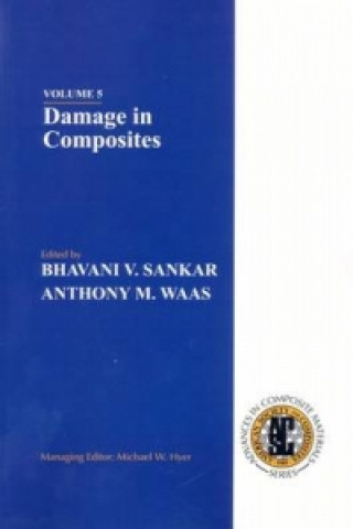 Knjiga Damage in Composites 