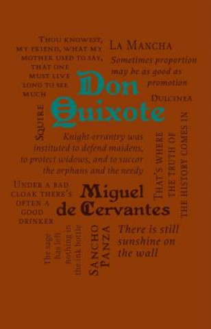 Kniha Don Quixote Miguel de Cervantes Saavedra