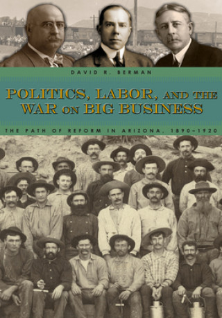 Kniha Politics, Labor, and the War on Big Business David R. Berman