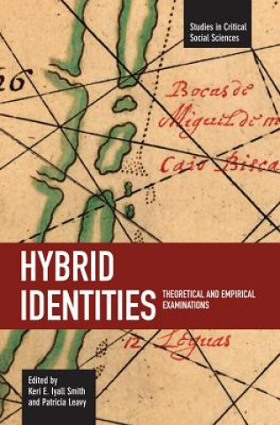 Könyv Hybrid Identities: Theoretical And Empirical Examinations Keri Smith