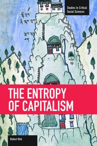 Buch Entropy Of Capitalism Robert Biel