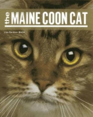 Книга Maine Coon Cat Liza Gardner Walsh