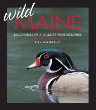 Könyv Wild Maine Bill Silliker