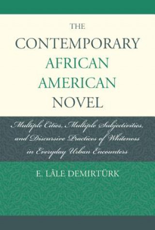 Carte Contemporary African American Novel E. Lale Demirturk