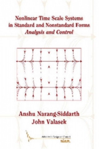 Kniha Nonlinear Time Scale Systems in Standard and Nonstandard Forms Anshu Narang-Siddarth
