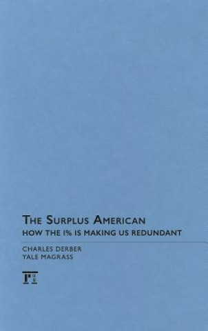Buch Surplus American Charles Derber