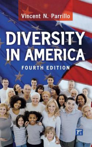 Kniha Diversity in America Vincent N. Parrillo