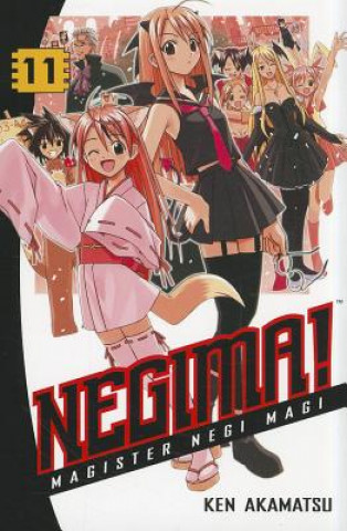 Könyv Negima! 11 Ken Akamatsu