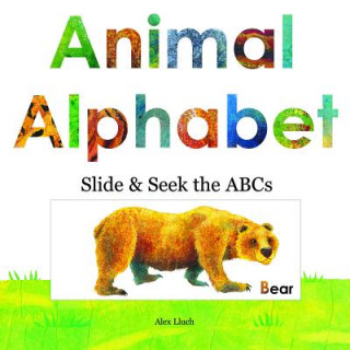 Kniha Animal Alphabet Alex A. Lluch