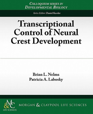 Książka Transcriptional Control of Neural Crest Development Brian Nelms