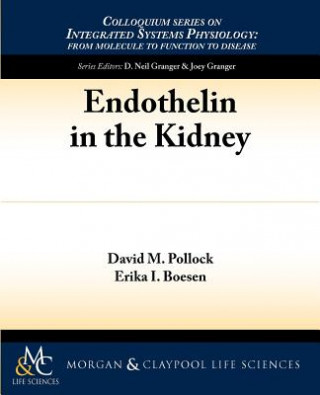 Livre Endothelin in the Kidney David Pollock