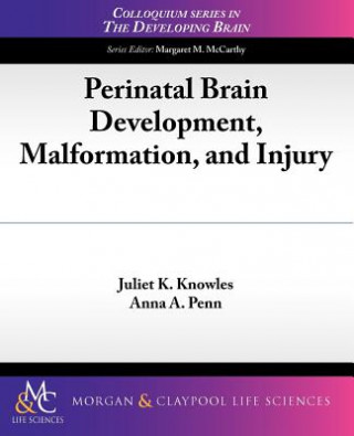 Könyv Perinatal Brain Development, Malformation, and Injury Juliet K. Knowles