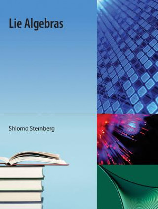 Buch Lie Algebras Shlomo Sternberg