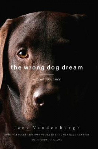 Carte Wrong Dog Dream Jane Vandenburgh