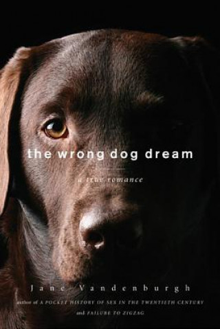 Kniha Wrong Dog Dream Jane Vandenburgh