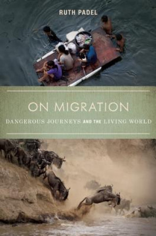 Könyv On Migration Ruth Padel