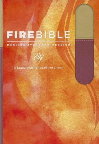 Kniha Fire Bible-ESV Donald Stamps