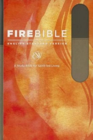 Kniha Fire Bible-ESV 