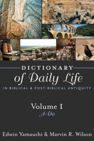 Kniha Dictionary of Daily Life in Biblical and Post-biblical Times Marvin R. Wilson