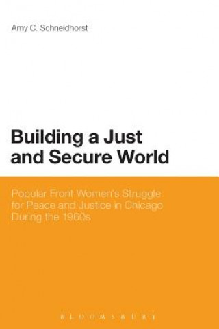 Kniha Building a Just and Secure World Amy C. Schneidhorst