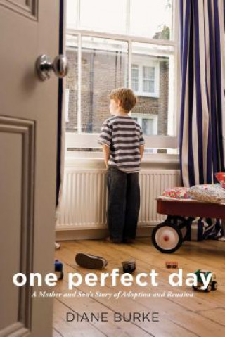 Libro One Perfect Day Diane Burke