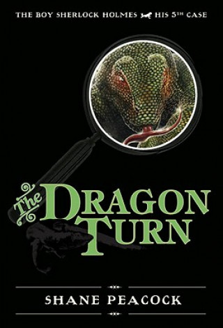 Buch Dragon Turn Shane Peacock