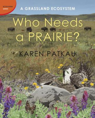 Könyv Who Needs A Prairie? Karen Patkau