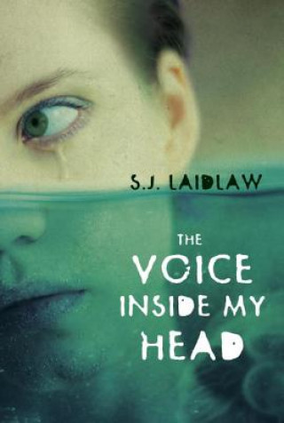 Knjiga Voice Inside My Head S.J. Laidlaw