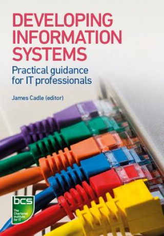 Книга Developing Information Systems Peter Thompson