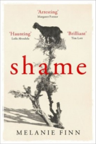 Buch Shame Melanie Finn