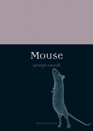 Kniha Mouse Georgie Carroll