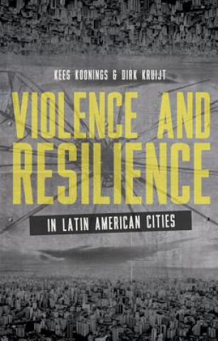 Kniha Violence and Resilience in Latin American Cities 