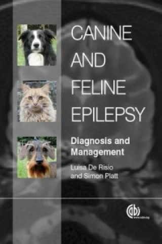 Kniha Canine and Feline Epilepsy Simon Platt